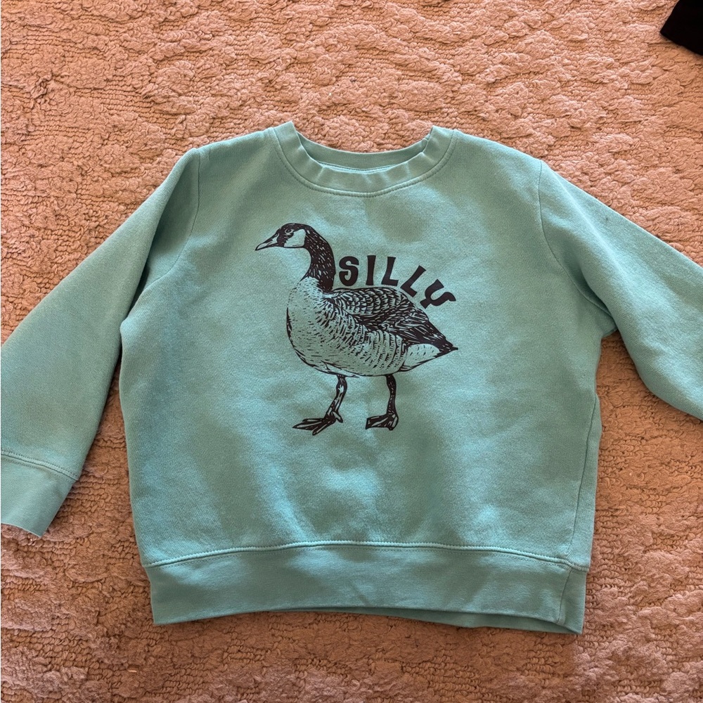 Kids Silly Goose Sweatshirt - Teal